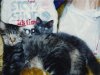jade-furball.jpg