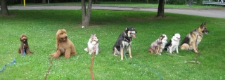 cropped-lineup.jpg