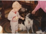 My Mom is a Dog Trainer